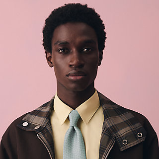 シルクタイ 《アンクル・アン・ヴラック》 | Hermès - エルメス-公式サイト